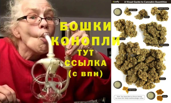 spice Гусев