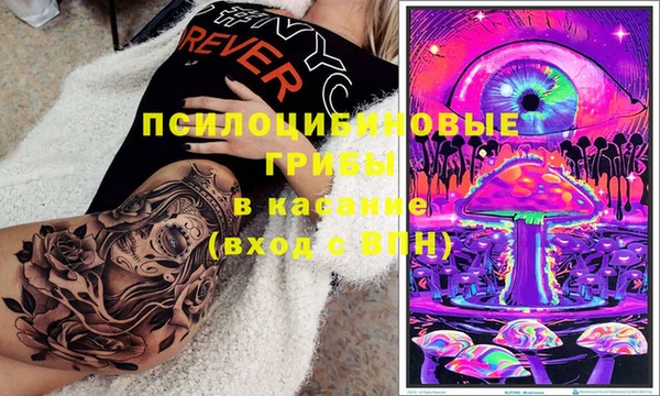spice Гусев