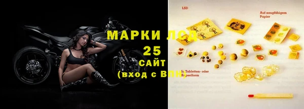 spice Гусев