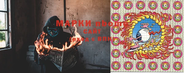 spice Гусев